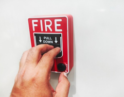 image_2025-12-03_084613224